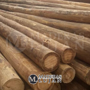 Postes de Eucalipto